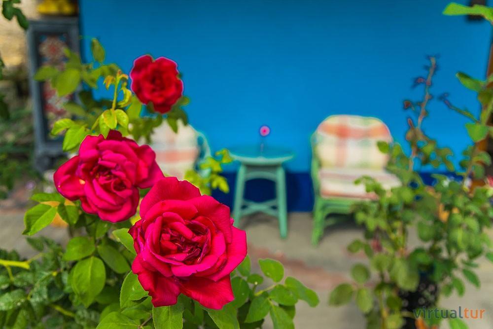 Bed and Breakfast Resedinta Rotundu Butuceny Esterno foto